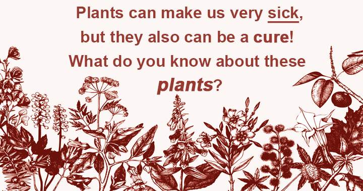 What knowledge do you have about these plants that have the potential to both harm and heal us?