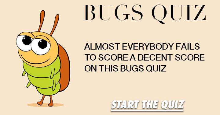 How extensive is your knowledge of bugs?