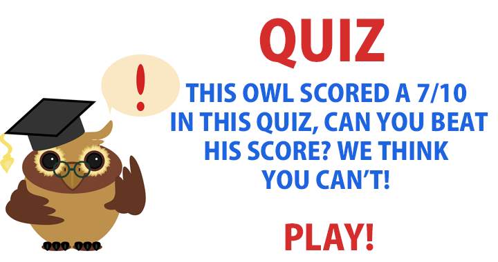 Are you clever enough to outwit an owl?