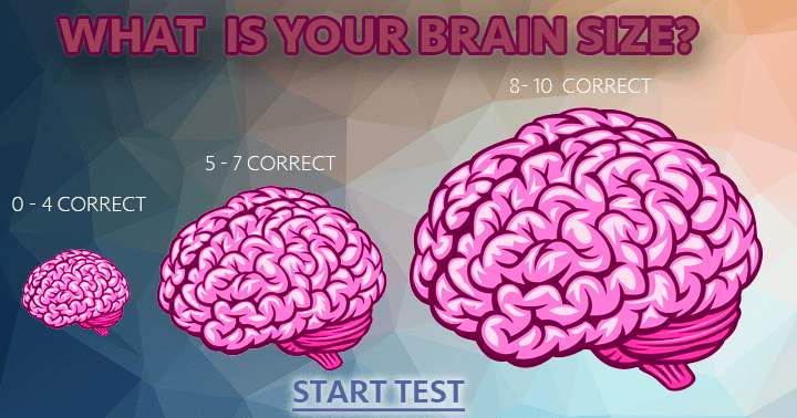 What is the dimension of your brain?