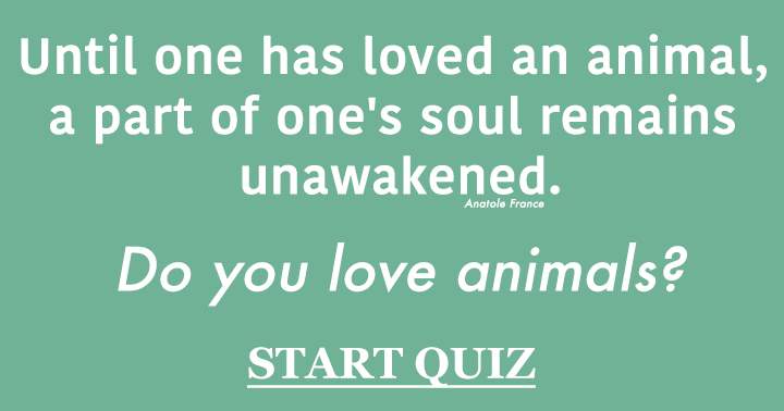 Animal Quiz