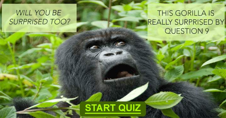 Quiz on Animals