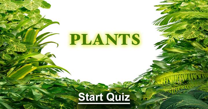 Plants Quiz. Can you answer them all?