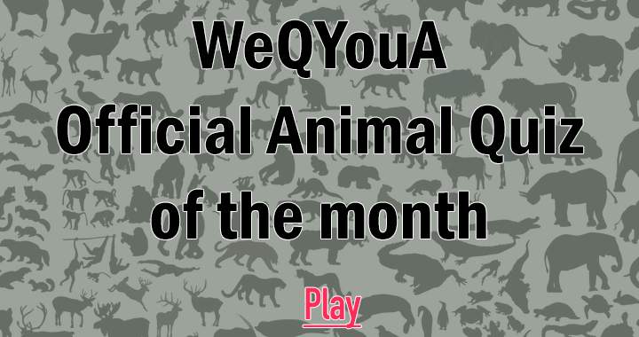 Monthly Animal Quiz