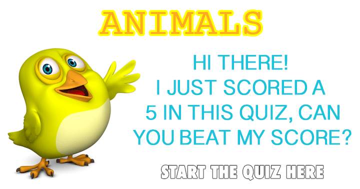 Quiz about animals.