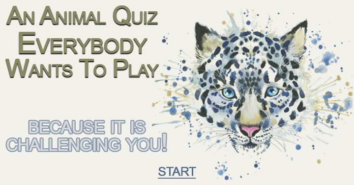Let's find out how many quizzes can achieve a score higher than 7!