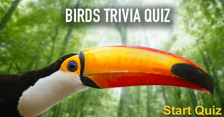 Birds Trivia Quiz. Can you get at least 5 correct ?