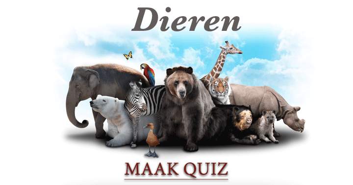  10 vragen over dieren van die we op onze planeet kennen, ken jij ze allemaal?