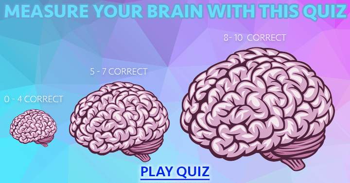 Banner for What Size Is Your Brain?