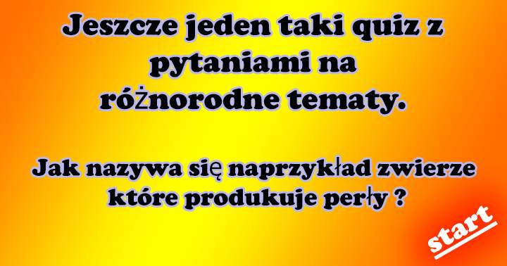 KWIZZZ: 10 PYTAN NA ROŻNE TEMATY