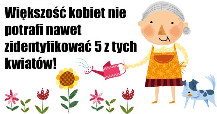 ILE KWIATÓW POTRAFISZ TY ROZPOZNAĆ?