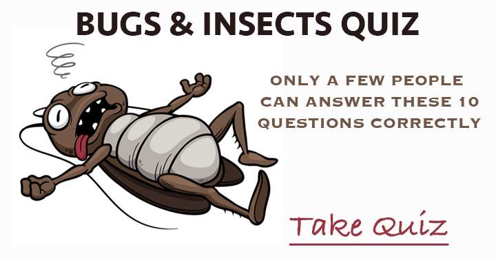 Bugs & Insects. Only a few people can answer these 10 questions correctly.