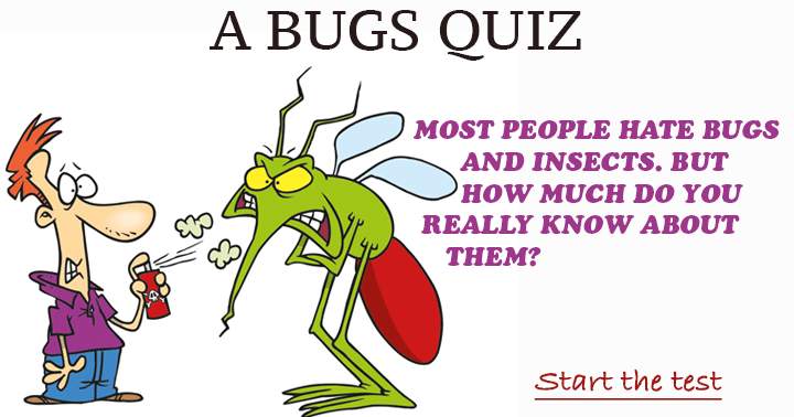 Most people hate bugs and insects. But how much do you really know about them?