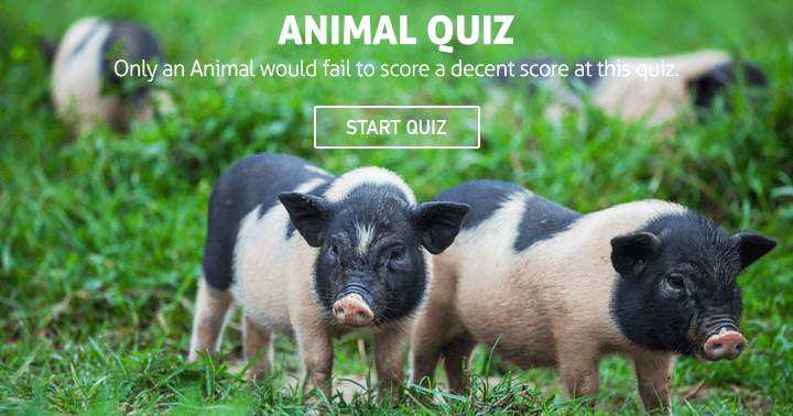 Only an Animal would fail to score a decent score at this animal quiz.