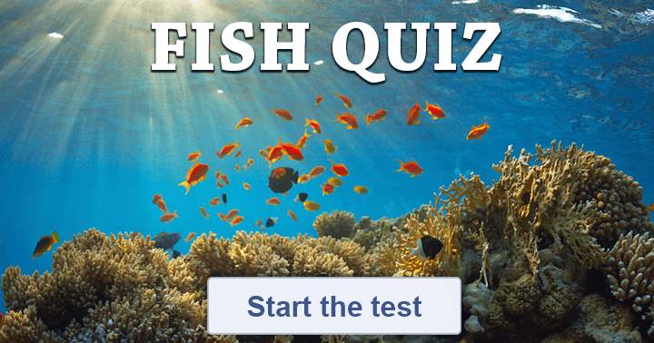 The Fish Quiz! 