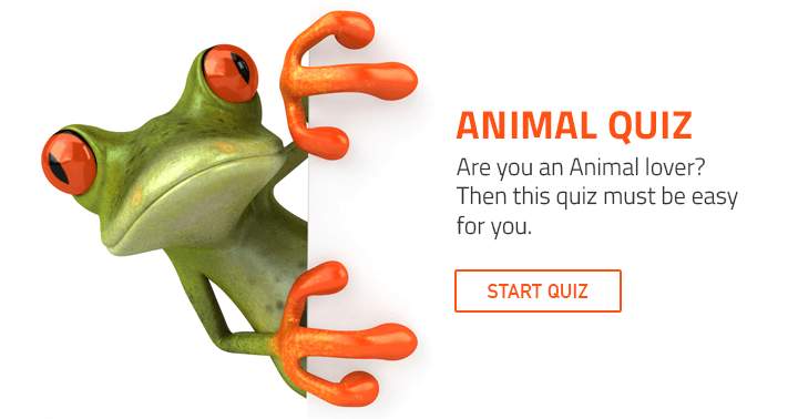 Trivia Quiz for the animal lovers among us.